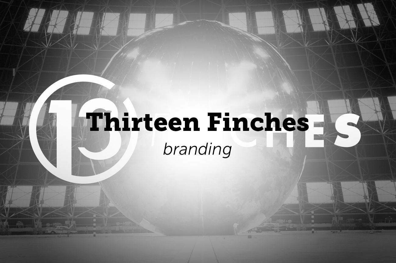 Thirteen Finches